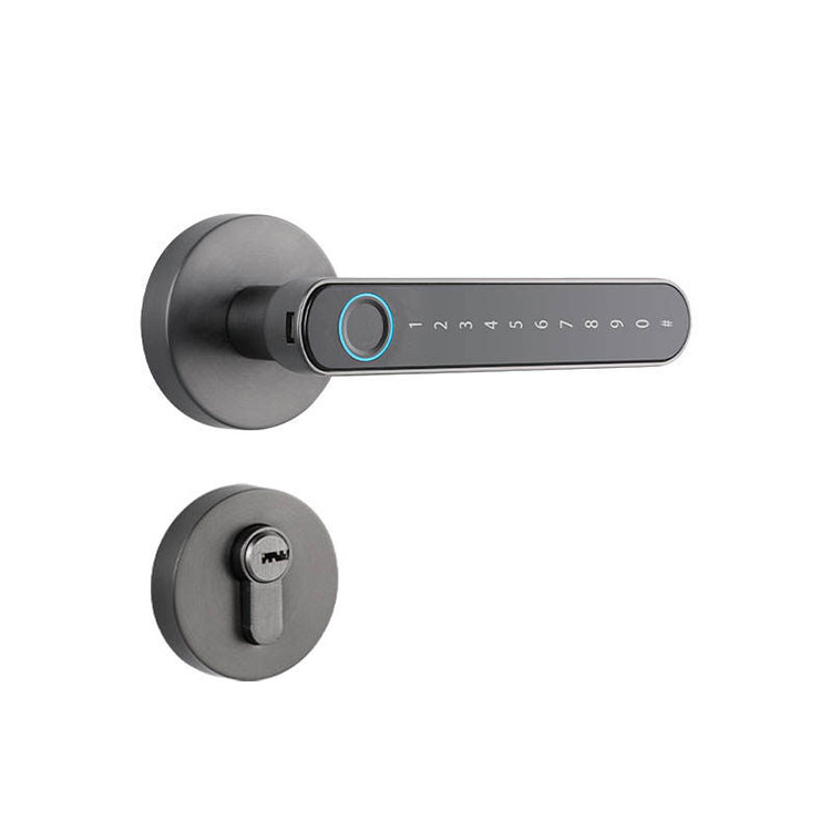 Smart Handle Lock — FM T6